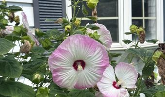 1207 8th St, Aurora, NE 68818