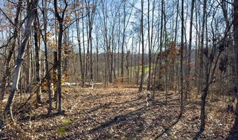 0 W Captina Highway Rd, Alledonia, OH 43902