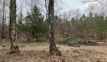 9718 NE FOREST Ln, Alden, MI 49612