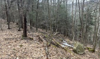 0 TBD Elleber Sods Rd, Bartow, WV 24920