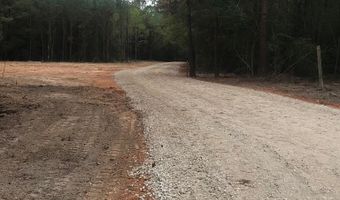 00 TRACT # 1 Burgetown Rd, Carriere, MS 39426