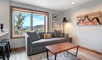 535 S Park Ave 317, Breckenridge, CO 80424