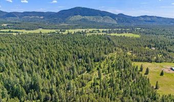 28801 N LEWELLEN CREEK Rd, Athol, ID 83801