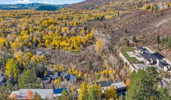 191 Skimming Ln, Aspen, CO 81611