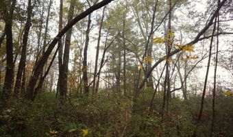 0 Midline Rd, Amsterdam, NY 12010
