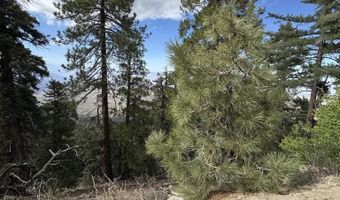 636 Mountain Center 35-0002, Mountain Center, CA 92561