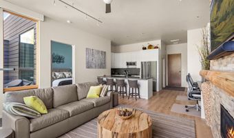 101 Willits Way 205, Basalt, CO 81621