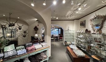 419 E Cooper Ave, Aspen, CO 81611