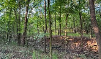 Old Moyers Road, Antlers, OK 74523