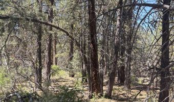 Chickadee Drive lot 10, Bonanza, OR 97623