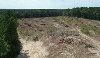 SE Cole Drive, Bogue Chitto, MS 39629
