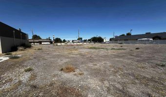 1291 S Taylor St, Fallon, NV 89406