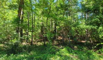 93 Acres Dell Rd, Bainbridge, GA 39819