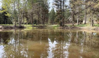 TBD Lot 2 and 3 Timber Haven, Cascade, ID 83611