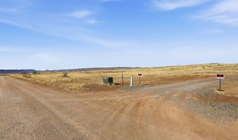 1350 Kimball Ln, Alpine, TX 79830