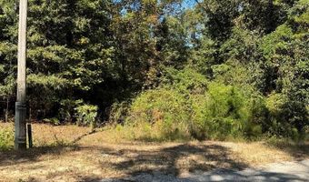 Lot 5 South Galaxie, Abbeville, AL 36310