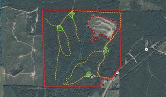 Hwy 9, Bruce, MS 38915