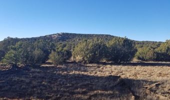 Lot 35 CR 8281, Concho, AZ 85924