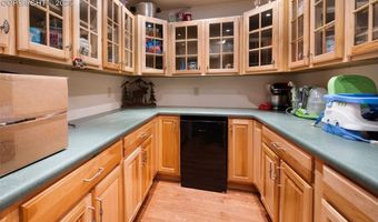 516 Saguache Dr, Florissant, CO 80816