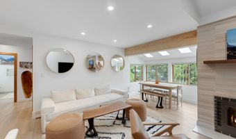 910 W Hallam St 9, Aspen, CO 81611