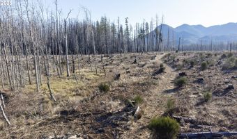 91737 BLUE RIVER RESERVOIR Rd, Blue River, OR 97413