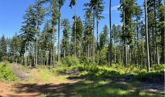 Tunnel Tract Parcel2, Banks, OR 97106