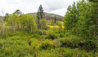 33229 Buckhorn Rd, Bellvue, CO 80512