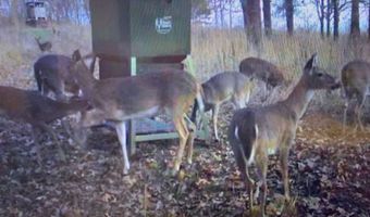 55 65 & 125 B Rock Ln, Batesville, AR 72501