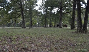 000 Hwy 14, Ava, MO 65608