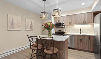 820 COLUMBINE Rd 20, Breckenridge, CO 80424