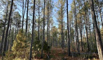 Highway 28, Abbeville, SC 29620