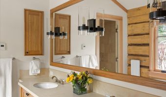 100 Difficult Ln, Aspen, CO 81611