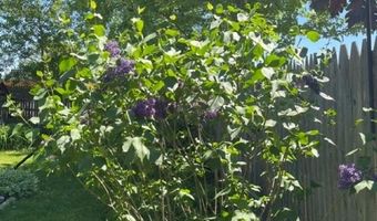 719 CLERMONT St, Antigo, WI 54409