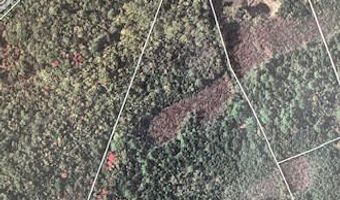 Milk Road lot 14, Alfred, ME 04002