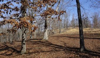 River Oaks Lot 19, Big Sandy, TN 38221