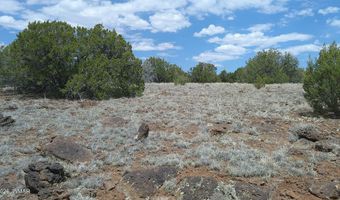 74 Co Rd, Concho, AZ 85924