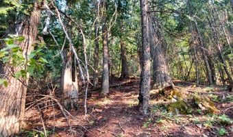NKA Silver Creek Road, Clark Fork, ID 83811