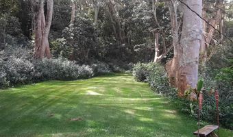 3310 WAWAE Rd, Kalaheo, HI 96741