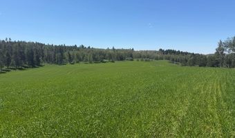 4935 E 900 N, Ashton, ID 83420