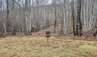 Beaver Dam Rd, Banner Elk, NC 28604