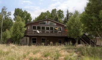 133 Gold Run Rd, Alma, CO 80440