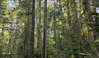 Back Searsport Road, Belfast, ME 04915