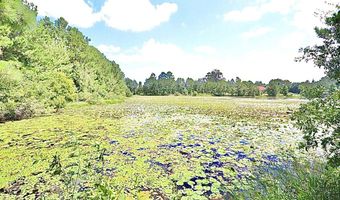 13 89 Ac Lumby Smith & Hwy 37, Adel, GA 31620