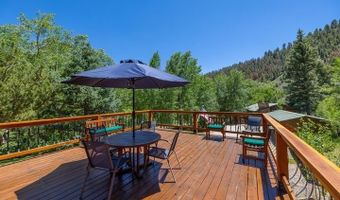 209 Deer Path Ln, Almont, CO 81230