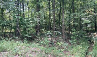 Lot 1069 Iron Gate Drive, Baneberry, TN 37890