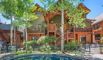 503 W Main St B202, Aspen, CO 81611
