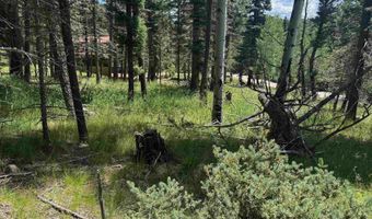 Calle de los Indios lot 44, Angel Fire, NM 87710