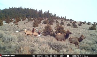 902 Lower Valley Rd, Boulder, MT 59632