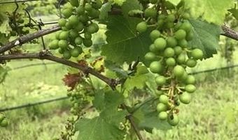 488 Rock House Rd, Bennington, OK 74723