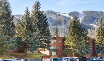 1041 Vine St, Aspen, CO 81611